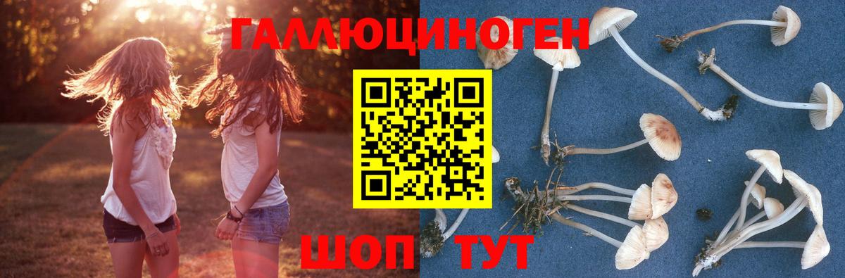Обь  Галлюциногенные грибы прущие грибы  Псилоцибиновые грибы ЛСД  Вход с VPN 