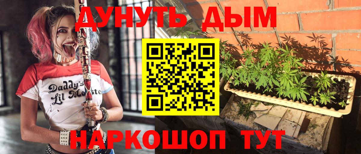 Марихуана OG Kush Обь